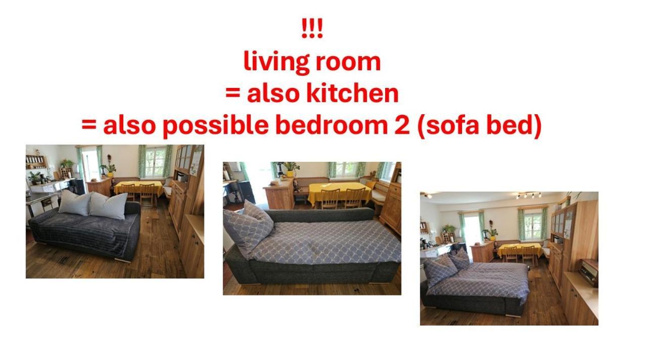 Premium Apartment Mit Privatem Whirlpool, Sauna, Garten Sankt Martin am Grimming 外观 照片