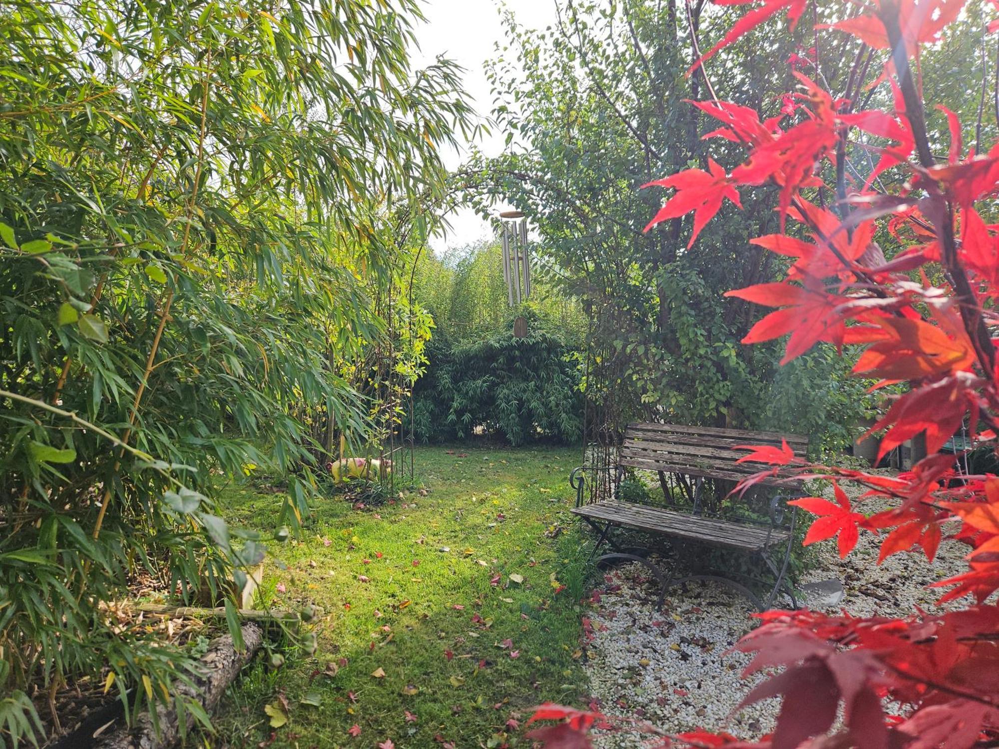 Premium Apartment Mit Privatem Whirlpool, Sauna, Garten Sankt Martin am Grimming 外观 照片